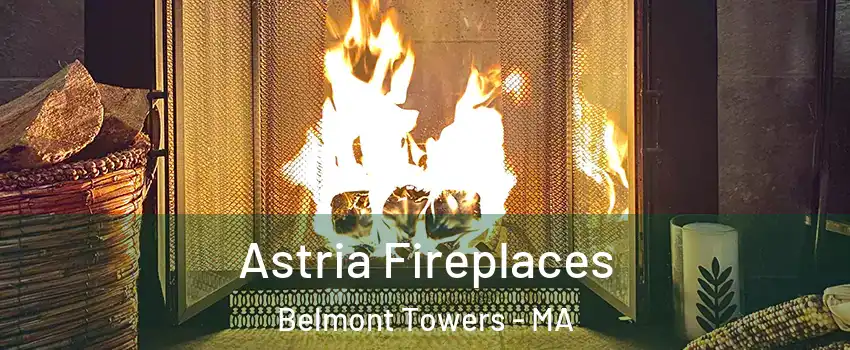 Astria Fireplaces Belmont Towers - MA