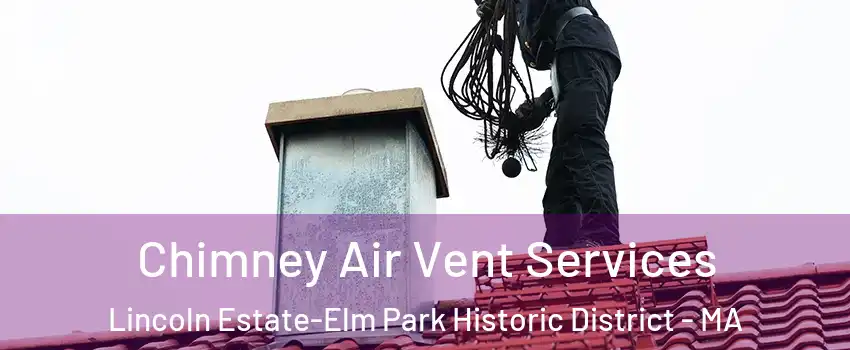Chimney Air Vent Services Lincoln Estate-Elm Park Historic District - MA