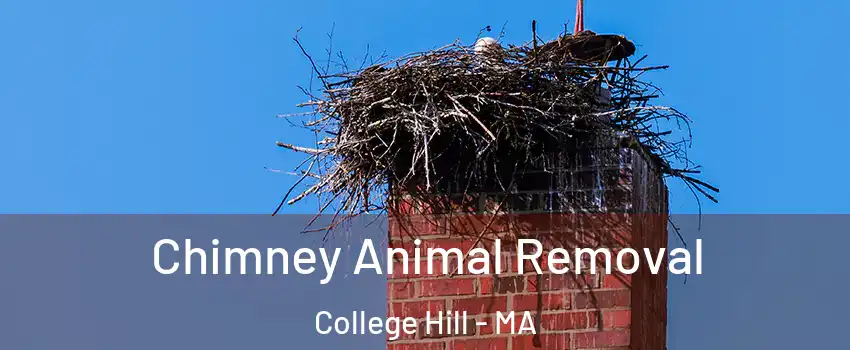 Chimney Animal Removal College Hill - MA