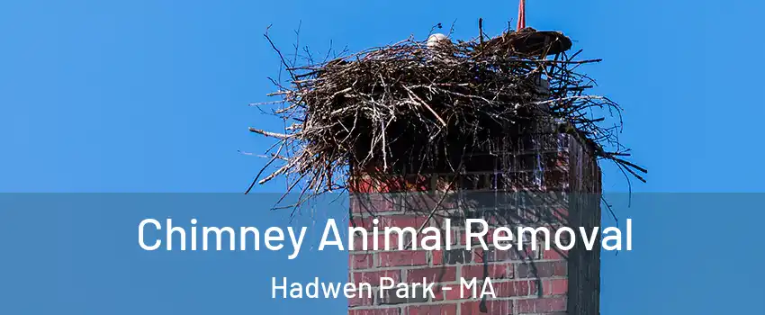 Chimney Animal Removal Hadwen Park - MA