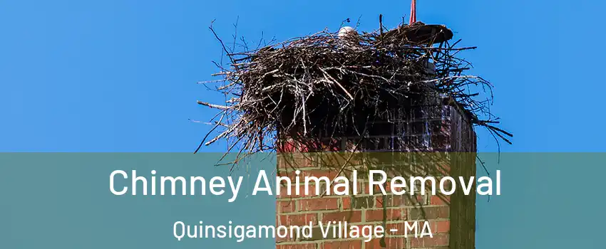Chimney Animal Removal Quinsigamond Village - MA