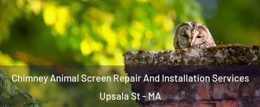 Chimney Animal Screen Repair And Installation Services Upsala St - MA