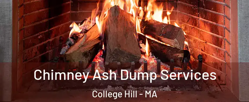 Chimney Ash Dump Services College Hill - MA