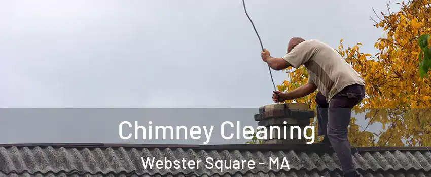 Chimney Cleaning Webster Square - MA