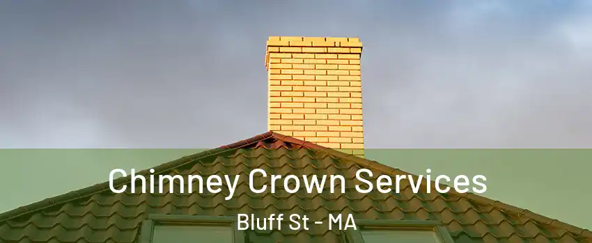 Chimney Crown Services Bluff St - MA