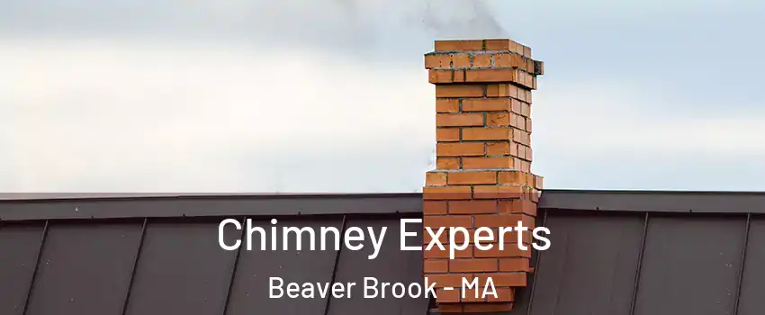 Chimney Experts Beaver Brook - MA