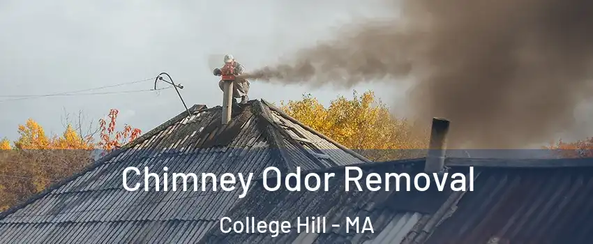Chimney Odor Removal College Hill - MA