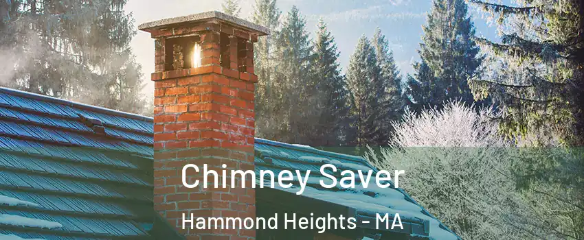 Chimney Saver Hammond Heights - MA