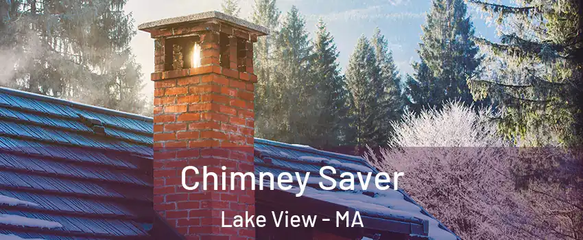 Chimney Saver Lake View - MA