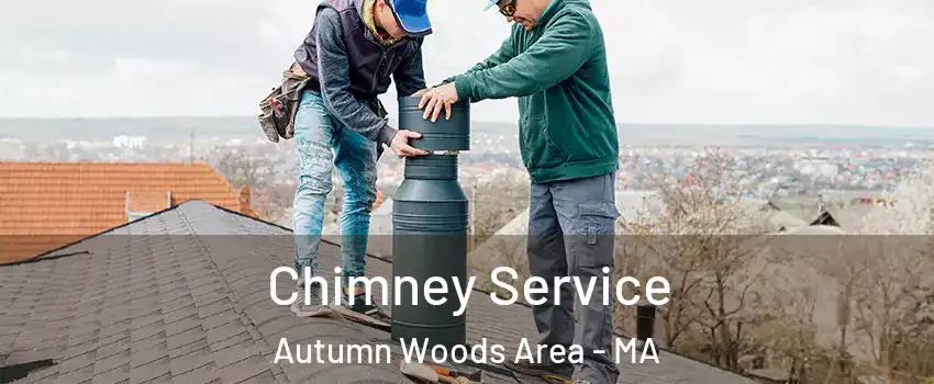 Chimney Service Autumn Woods Area - MA