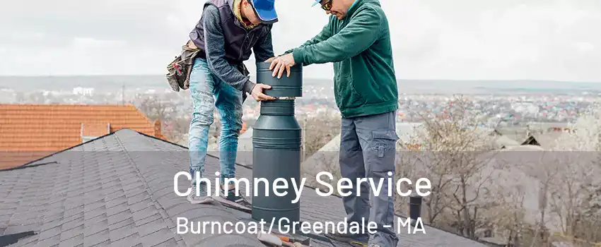 Chimney Service Burncoat/Greendale - MA