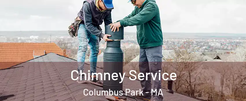 Chimney Service Columbus Park - MA