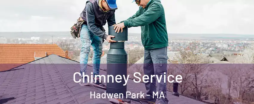 Chimney Service Hadwen Park - MA