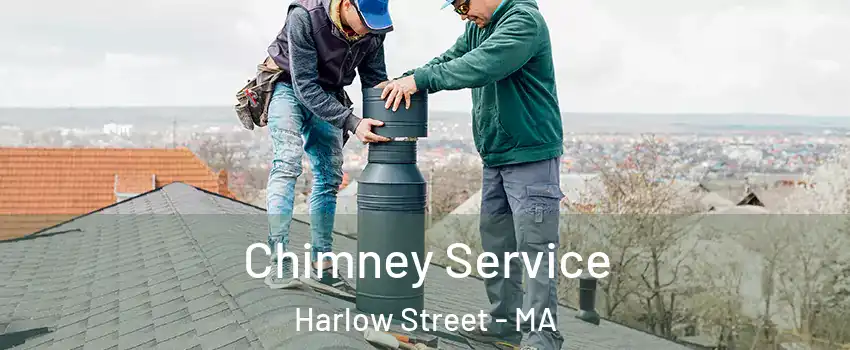 Chimney Service Harlow Street - MA