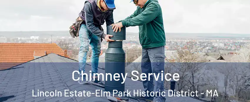 Chimney Service Lincoln Estate-Elm Park Historic District - MA