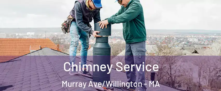 Chimney Service Murray Ave/Willington - MA