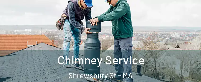 Chimney Service Shrewsbury St - MA