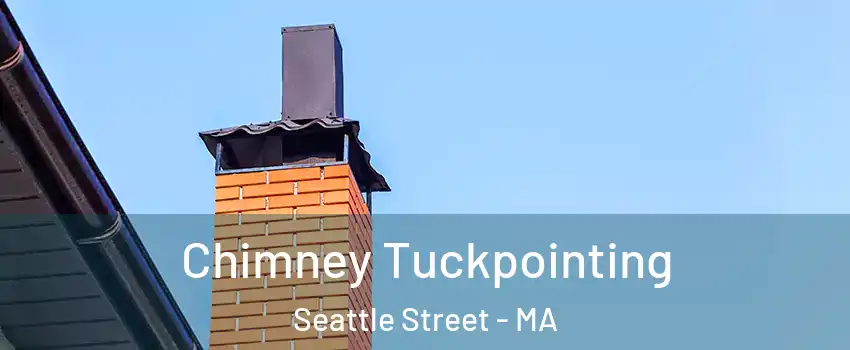 Chimney Tuckpointing Seattle Street - MA