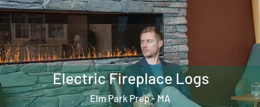 Electric Fireplace Logs Elm Park Prep - MA