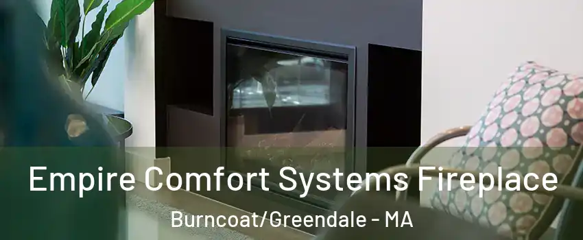 Empire Comfort Systems Fireplace Burncoat/Greendale - MA