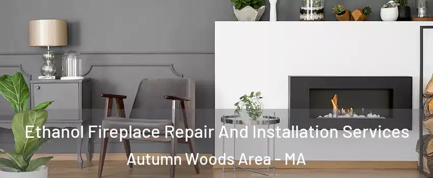 Ethanol Fireplace Repair And Installation Services Autumn Woods Area - MA