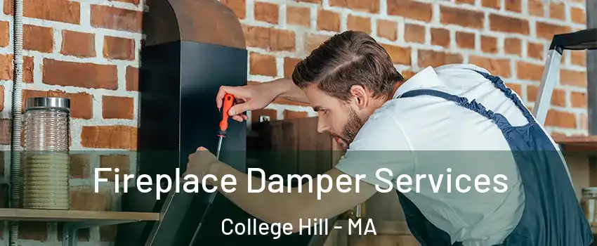 Fireplace Damper Services College Hill - MA