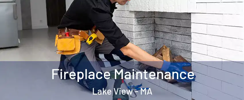 Fireplace Maintenance Lake View - MA