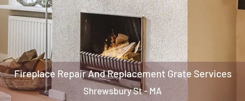 Fireplace Repair And Replacement Grate Services Shrewsbury St - MA