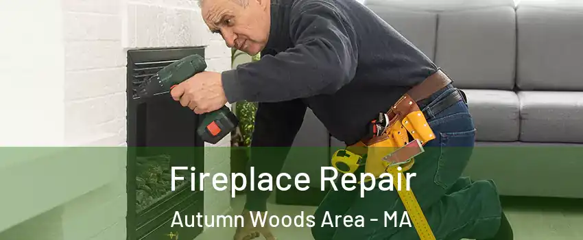 Fireplace Repair Autumn Woods Area - MA