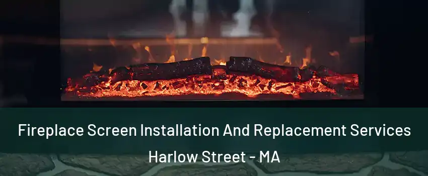 Fireplace Screen Installation And Replacement Services Harlow Street - MA