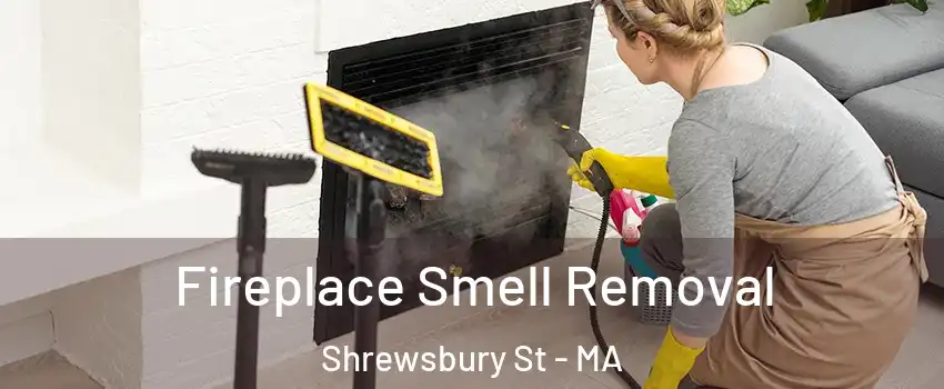 Fireplace Smell Removal Shrewsbury St - MA