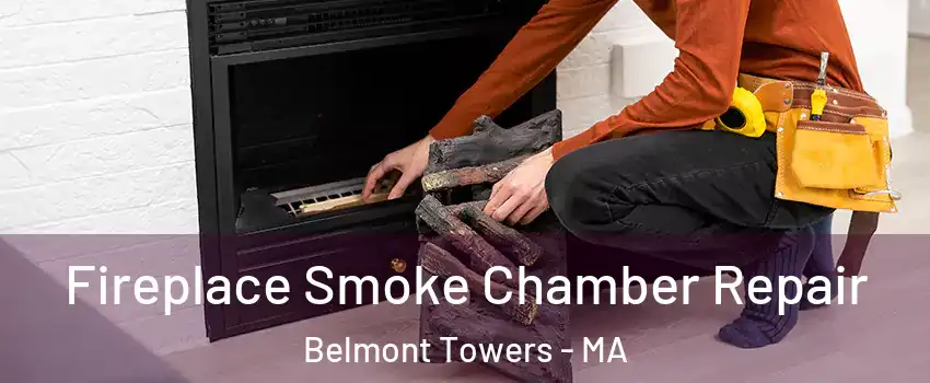 Fireplace Smoke Chamber Repair Belmont Towers - MA