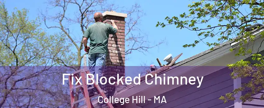Fix Blocked Chimney College Hill - MA