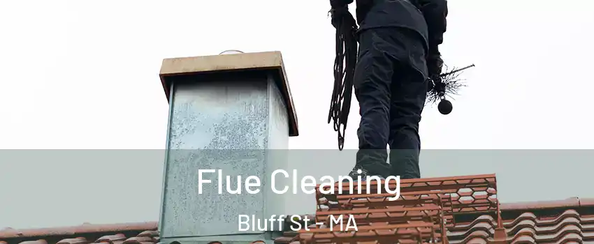 Flue Cleaning Bluff St - MA