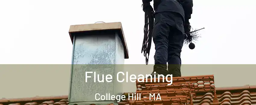 Flue Cleaning College Hill - MA