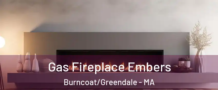 Gas Fireplace Embers Burncoat/Greendale - MA