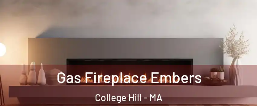Gas Fireplace Embers College Hill - MA