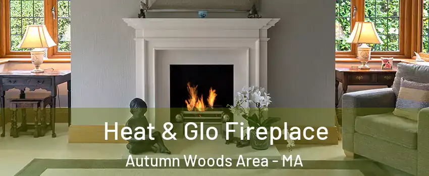 Heat & Glo Fireplace Autumn Woods Area - MA