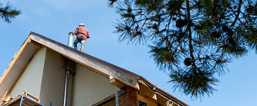Birds Removal Contractors from Chimney in Montvale, MA