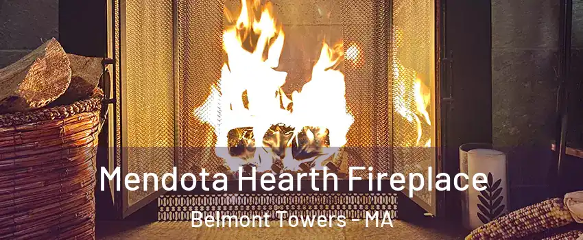 Mendota Hearth Fireplace Belmont Towers - MA