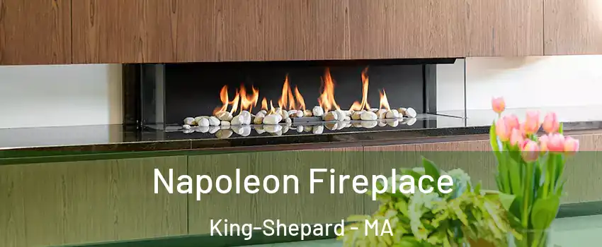 Napoleon Fireplace King-Shepard - MA