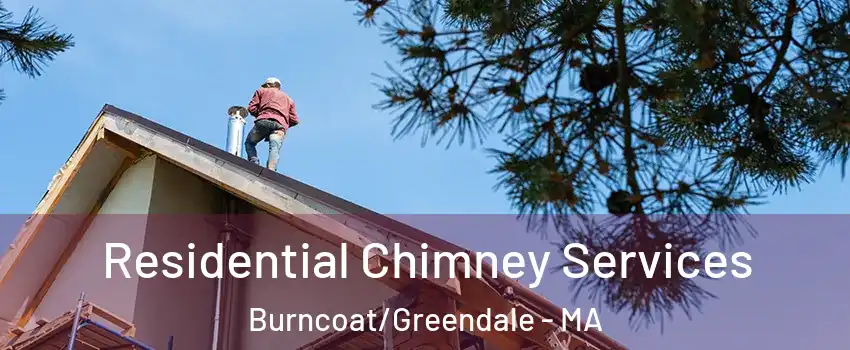 Residential Chimney Services Burncoat/Greendale - MA