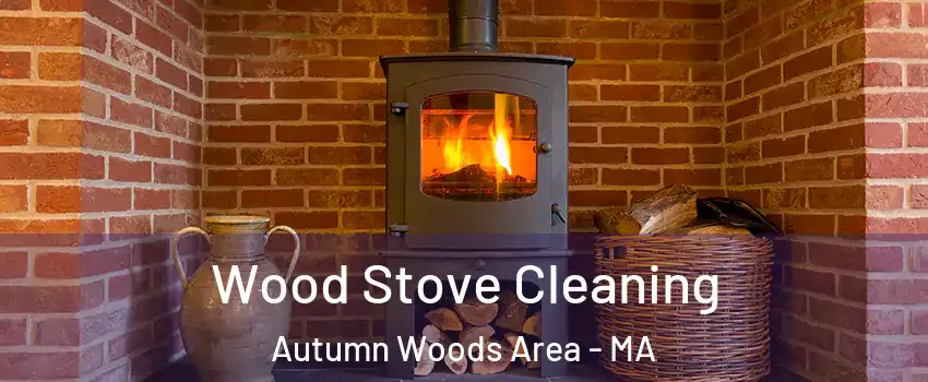 Wood Stove Cleaning Autumn Woods Area - MA
